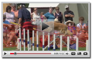 Link to Youtube Channel to View Scottish Breeds Dog Show Video.